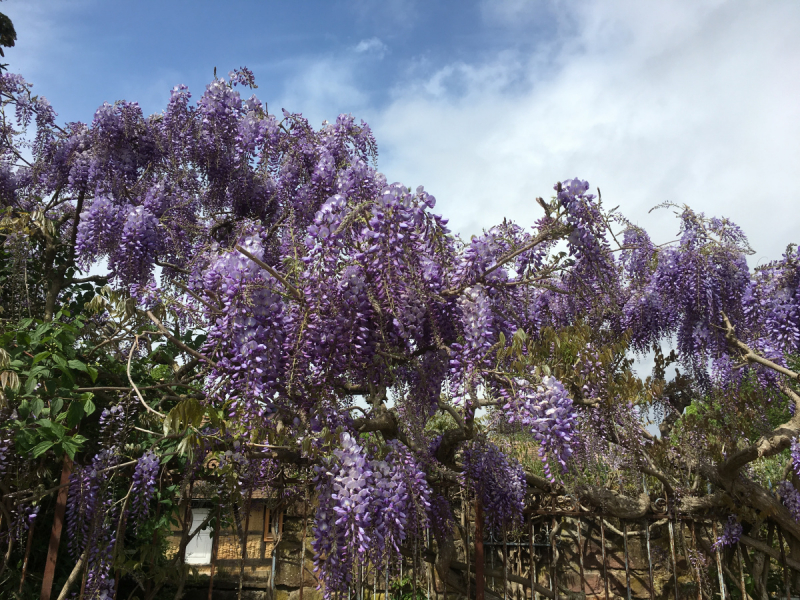 Эльзас: советы по маршруту.