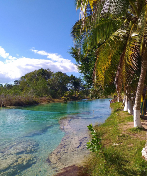 16 дней на разграбление Мексики. И ограбление по-мексикански как алаверды. 2019, февраль