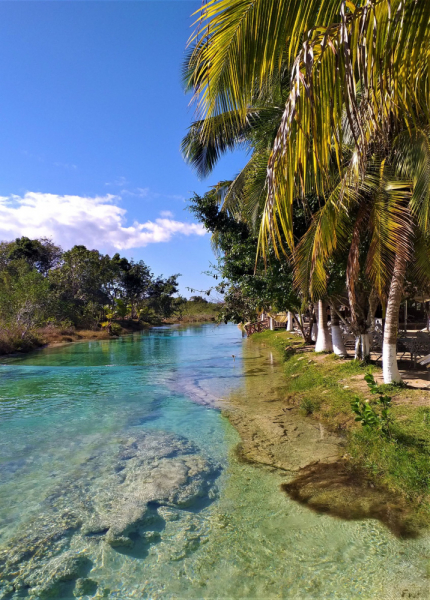 16 дней на разграбление Мексики. И ограбление по-мексикански как алаверды. 2019, февраль
