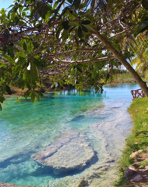 16 дней на разграбление Мексики. И ограбление по-мексикански как алаверды. 2019, февраль