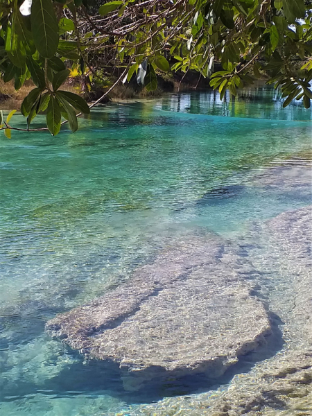 16 дней на разграбление Мексики. И ограбление по-мексикански как алаверды. 2019, февраль