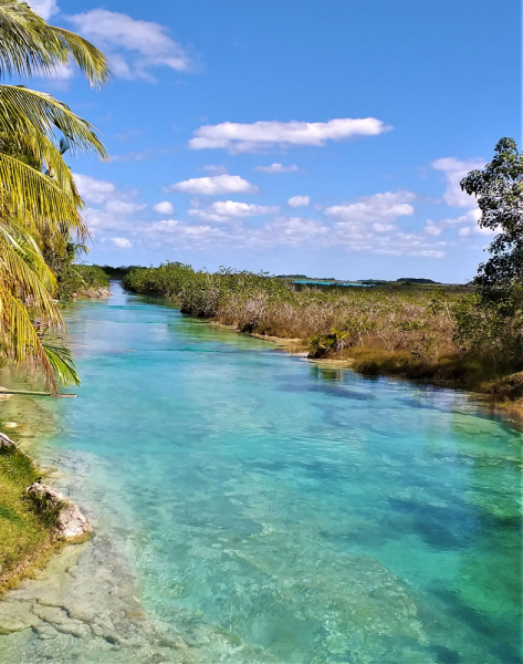 16 дней на разграбление Мексики. И ограбление по-мексикански как алаверды. 2019, февраль