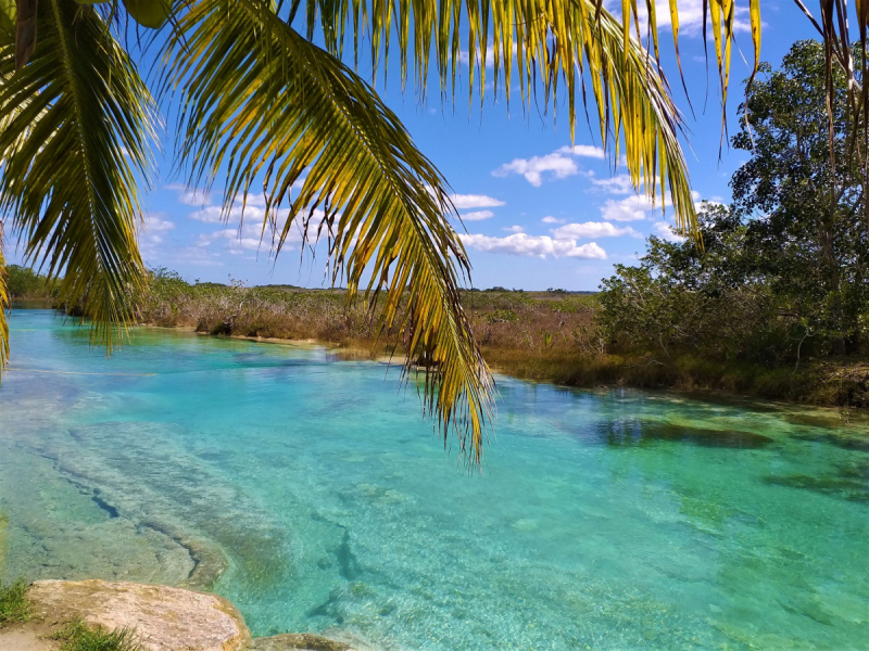 16 дней на разграбление Мексики. И ограбление по-мексикански как алаверды. 2019, февраль
