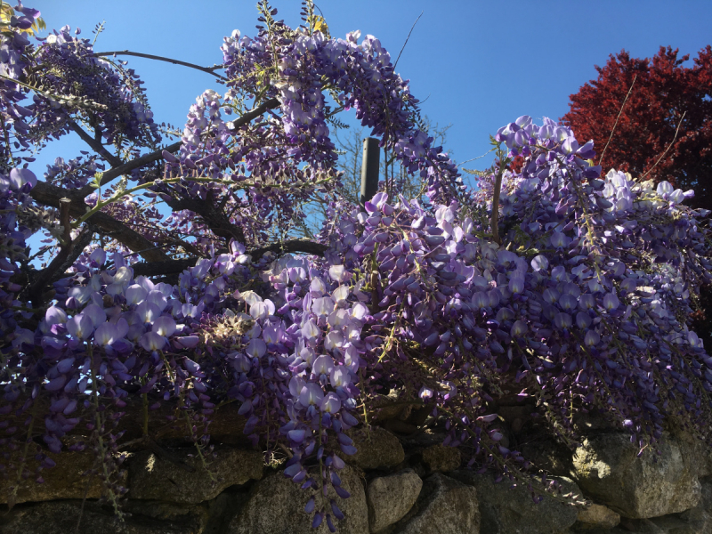 Невшатель. Город и кантон.