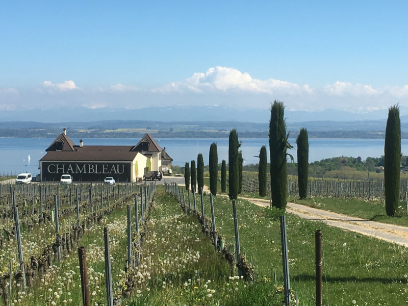 Невшатель. Город и кантон.