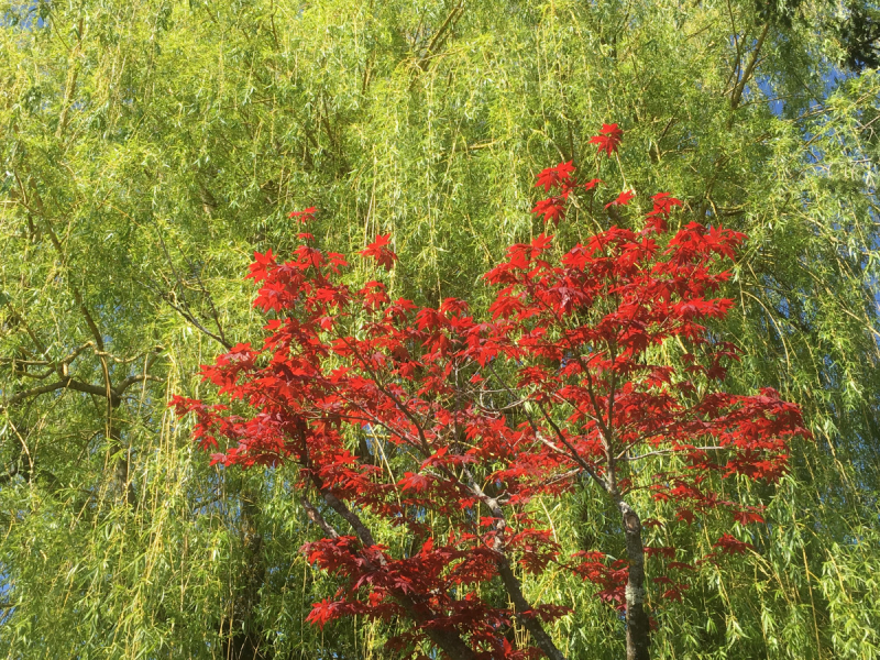 Невшатель. Город и кантон.