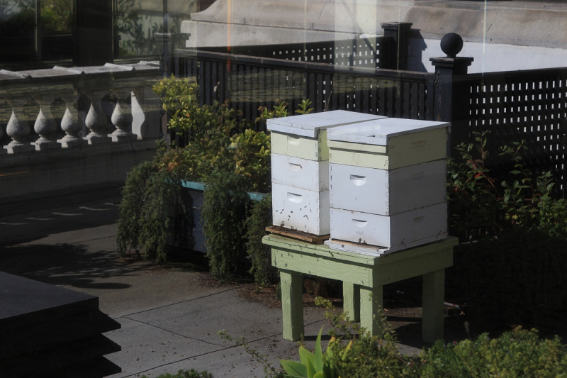 "See the moment. Catch the moment." Знакомство с западом США. 5650 км за 19 дней.