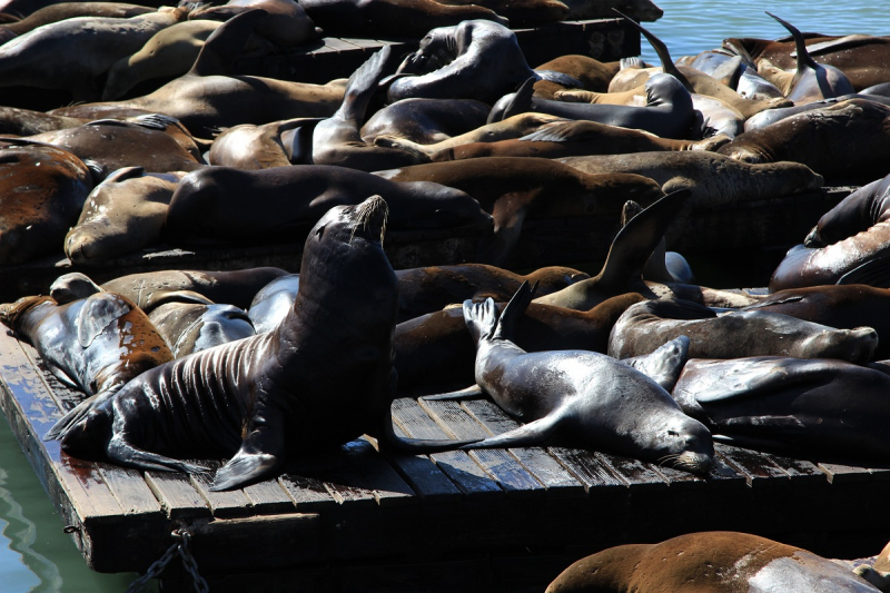 "See the moment. Catch the moment." Знакомство с западом США. 5650 км за 19 дней.