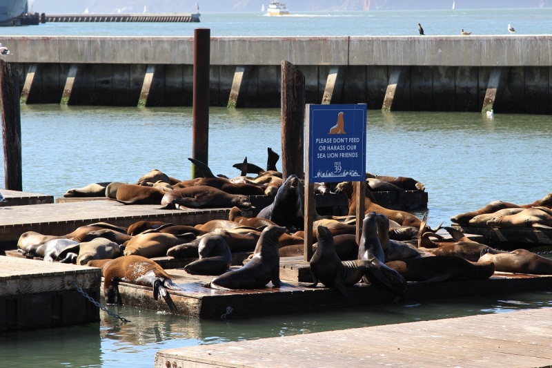"See the moment. Catch the moment." Знакомство с западом США. 5650 км за 19 дней.
