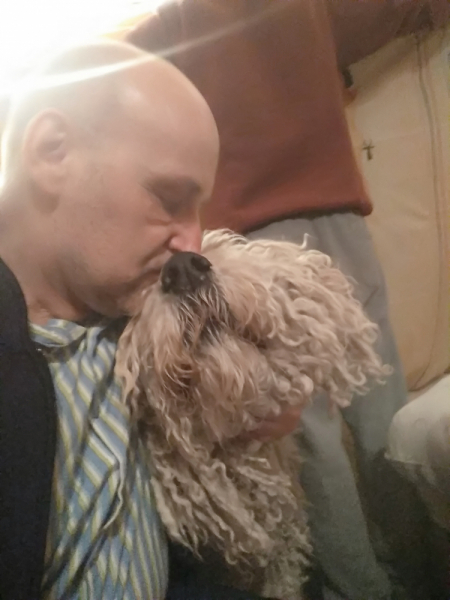 Кошки в нашей жизни. Кошки и все, что с ними связано.