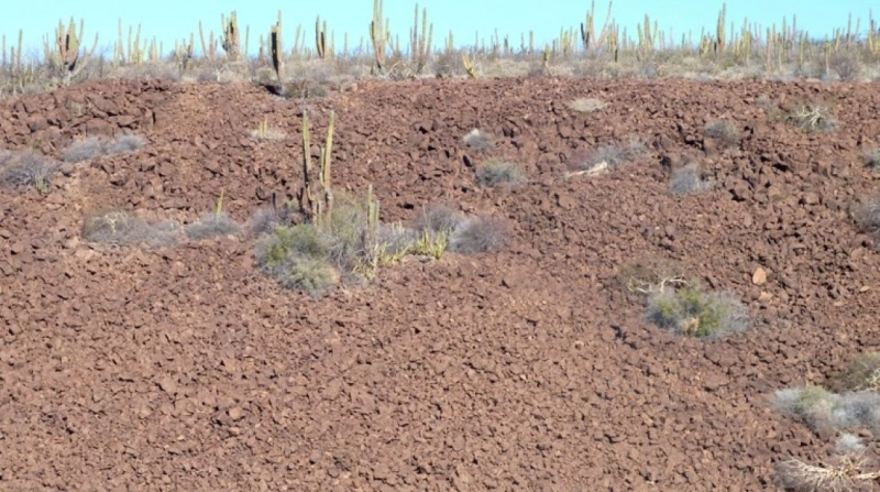 16 дней на разграбление Мексики. И ограбление по-мексикански как алаверды. 2019, февраль