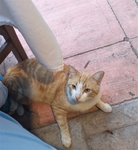 16 дней на разграбление Мексики. И ограбление по-мексикански как алаверды. 2019, февраль