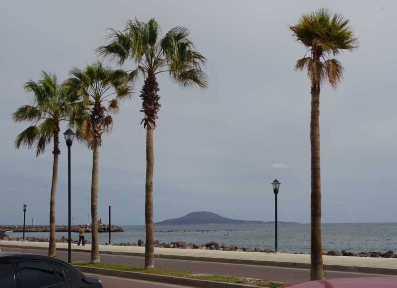 16 дней на разграбление Мексики. И ограбление по-мексикански как алаверды. 2019, февраль