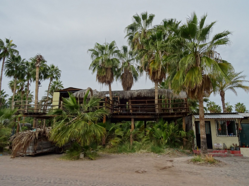 16 дней на разграбление Мексики. И ограбление по-мексикански как алаверды. 2019, февраль