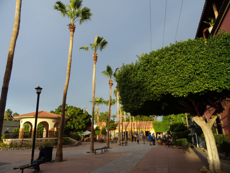 16 дней на разграбление Мексики. И ограбление по-мексикански как алаверды. 2019, февраль