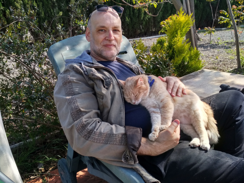 Кошки в нашей жизни. Кошки и все, что с ними связано.