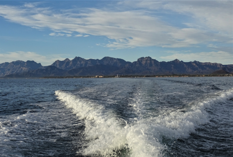 16 дней на разграбление Мексики. И ограбление по-мексикански как алаверды. 2019, февраль