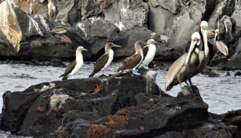 16 дней на разграбление Мексики. И ограбление по-мексикански как алаверды. 2019, февраль