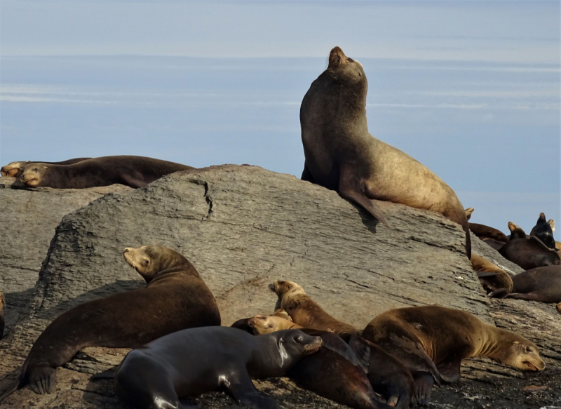 16 дней на разграбление Мексики. И ограбление по-мексикански как алаверды. 2019, февраль