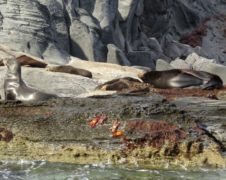 16 дней на разграбление Мексики. И ограбление по-мексикански как алаверды. 2019, февраль