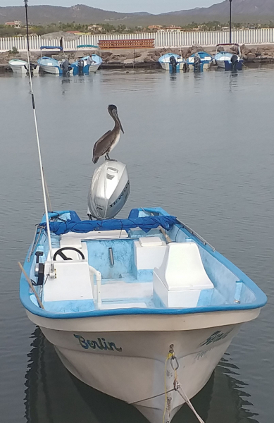 16 дней на разграбление Мексики. И ограбление по-мексикански как алаверды. 2019, февраль