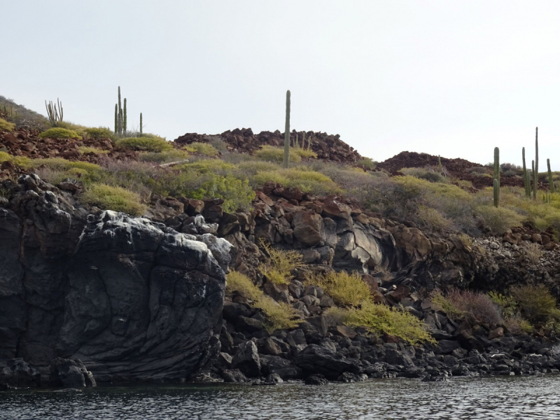 16 дней на разграбление Мексики. И ограбление по-мексикански как алаверды. 2019, февраль