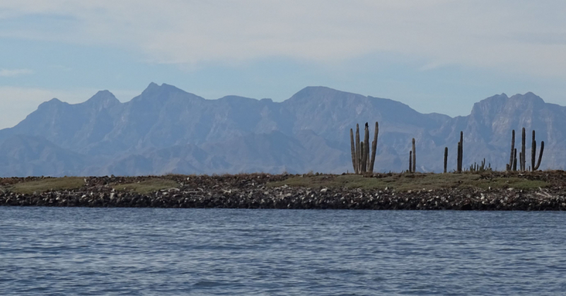 16 дней на разграбление Мексики. И ограбление по-мексикански как алаверды. 2019, февраль