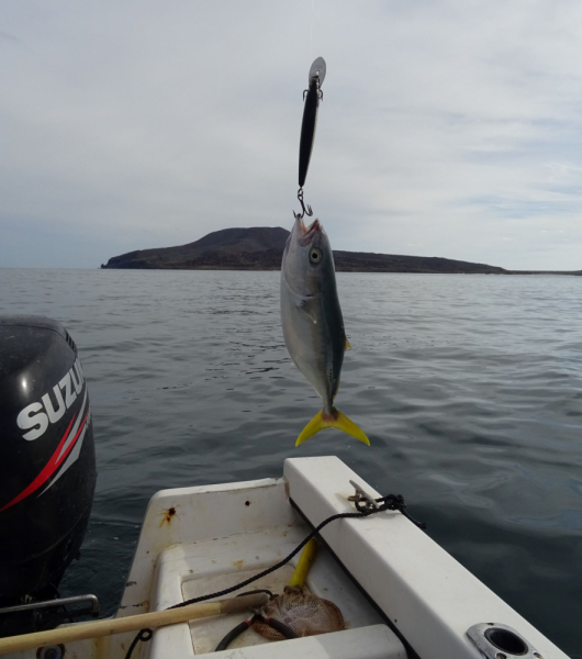 16 дней на разграбление Мексики. И ограбление по-мексикански как алаверды. 2019, февраль
