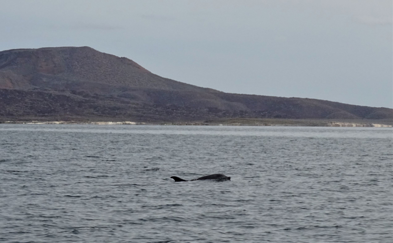 16 дней на разграбление Мексики. И ограбление по-мексикански как алаверды. 2019, февраль