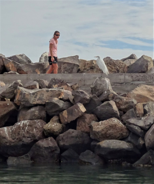 16 дней на разграбление Мексики. И ограбление по-мексикански как алаверды. 2019, февраль