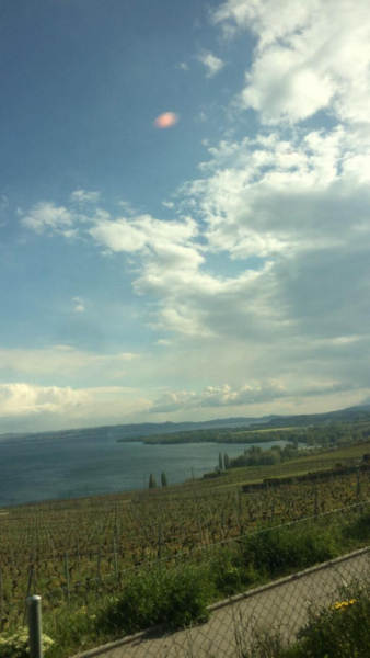 Невшатель. Город и кантон.