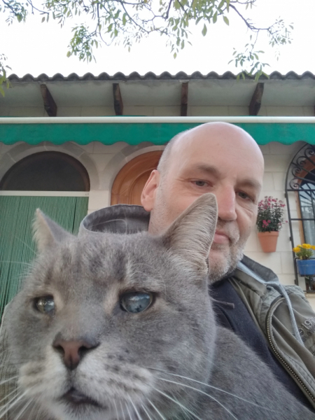 Кошки в нашей жизни. Кошки и все, что с ними связано.