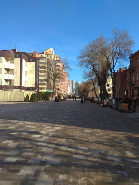 в Грозный на 8 марта 2019г.