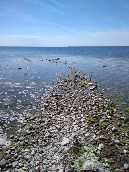 Эстония. Болото Виру, водопад Ягала, остров Хийумаа и Чудское озеро