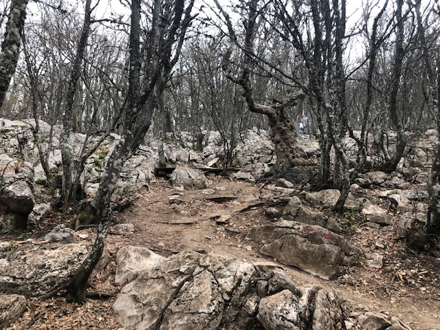 Много Крыма за 4 дня. 1-5.19