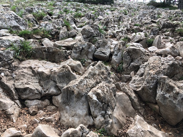 Много Крыма за 4 дня. 1-5.19