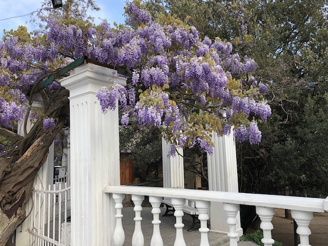 Много Крыма за 4 дня. 1-5.19