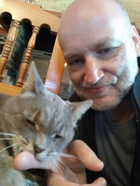 Кошки в нашей жизни. Кошки и все, что с ними связано.