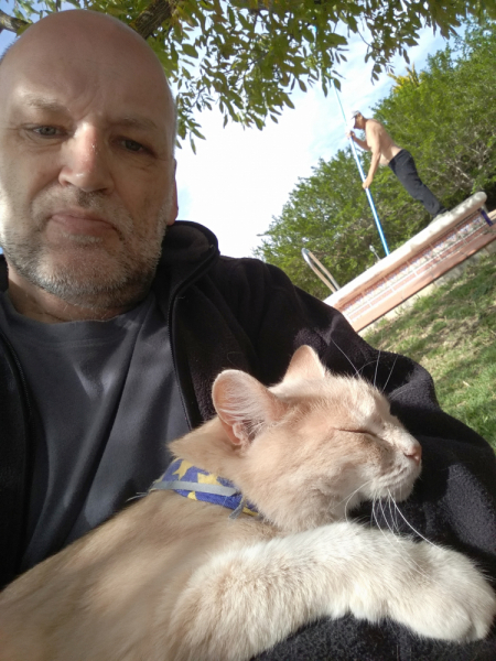 Кошки в нашей жизни. Кошки и все, что с ними связано.