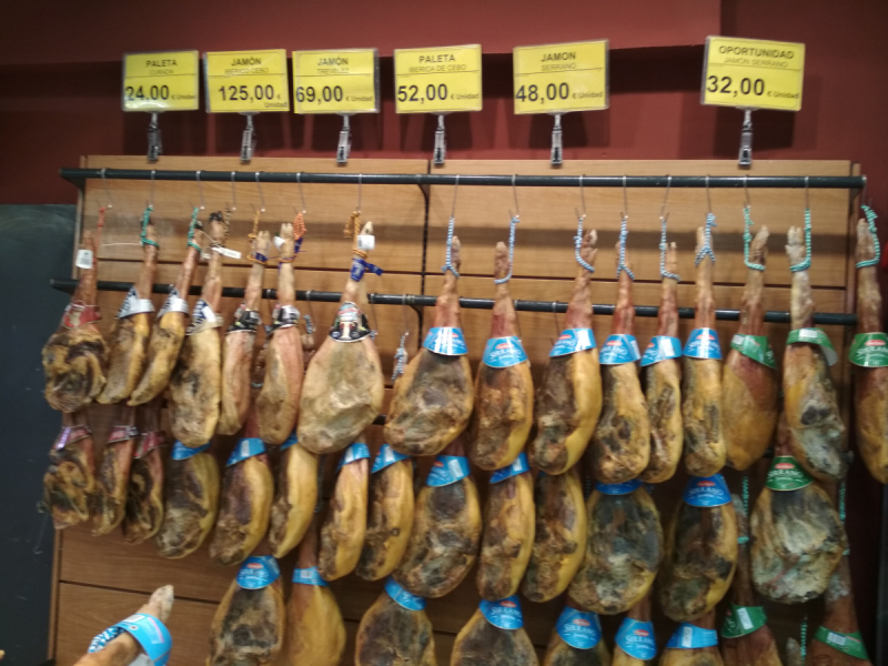 Кошки в нашей жизни. Кошки и все, что с ними связано.