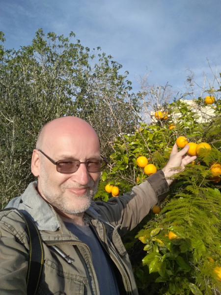 Кошки в нашей жизни. Кошки и все, что с ними связано.