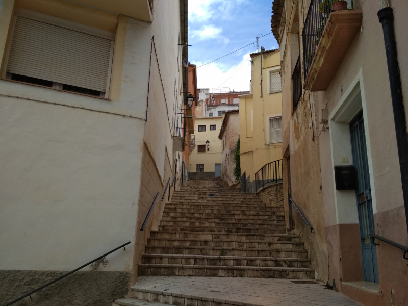 Кошки в нашей жизни. Кошки и все, что с ними связано.