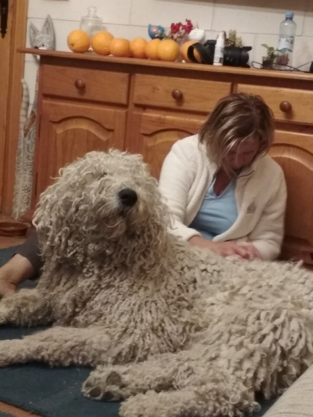 Кошки в нашей жизни. Кошки и все, что с ними связано.