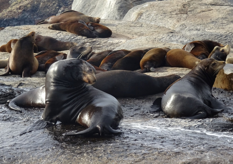 16 дней на разграбление Мексики. И ограбление по-мексикански как алаверды. 2019, февраль