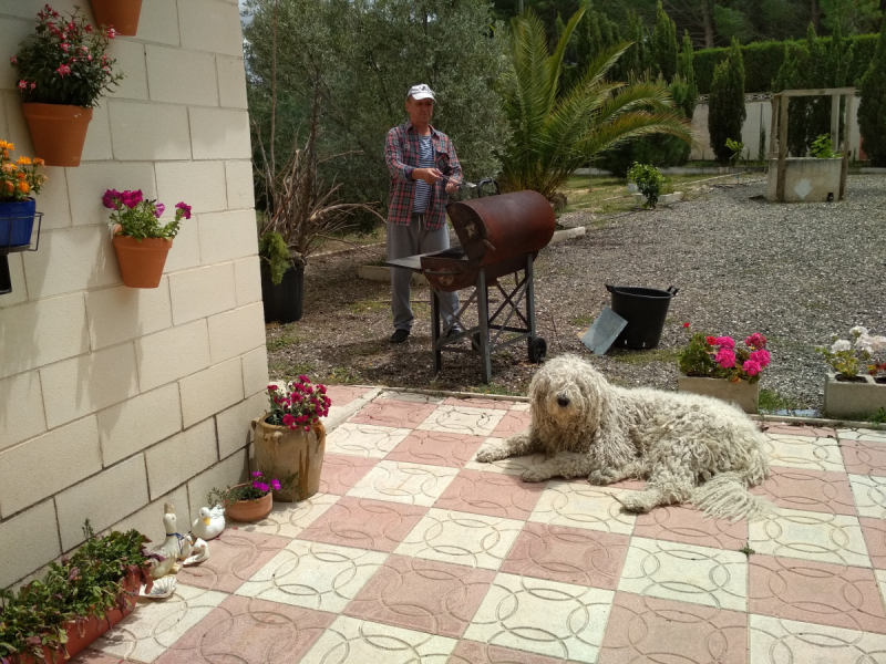 Кошки в нашей жизни. Кошки и все, что с ними связано.