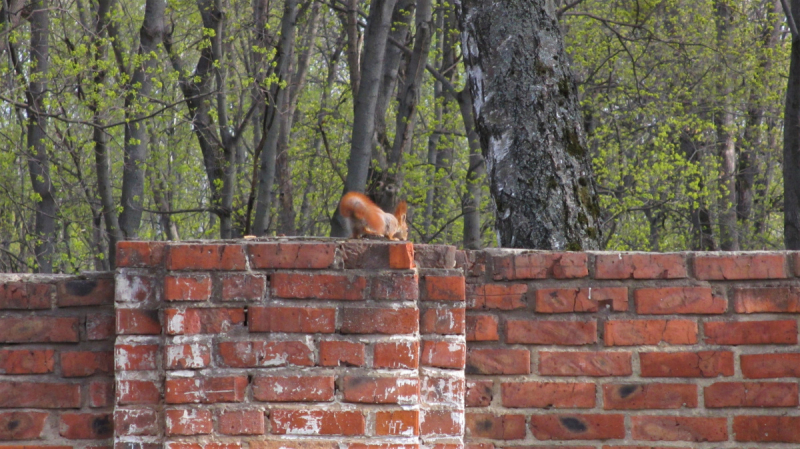 Из Епифани и Кондуков с большим приветом. Май 2019.