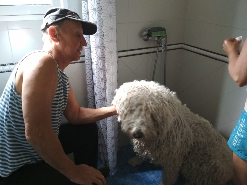 Кошки в нашей жизни. Кошки и все, что с ними связано.