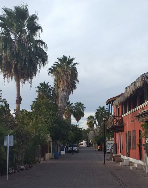 16 дней на разграбление Мексики. И ограбление по-мексикански как алаверды. 2019, февраль