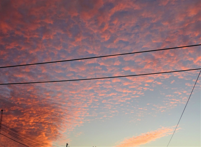 16 дней на разграбление Мексики. И ограбление по-мексикански как алаверды. 2019, февраль