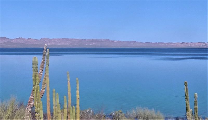 16 дней на разграбление Мексики. И ограбление по-мексикански как алаверды. 2019, февраль